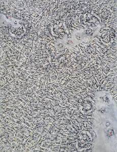 1982–85   Die Gier, der Sog, die Masse