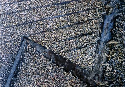 1984–87   La Fete